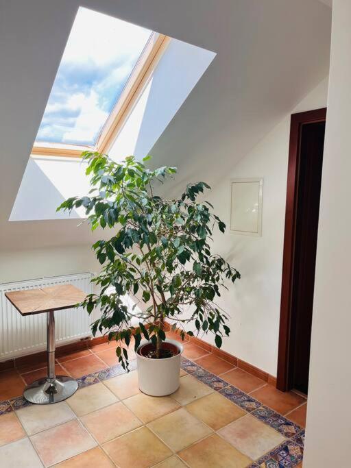 Apartman Se Zahradou 20 Minut Do Centra Prahy Ořech Exteriér fotografie